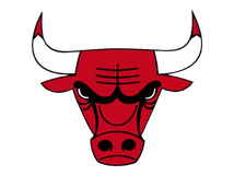 Chicago Bulls